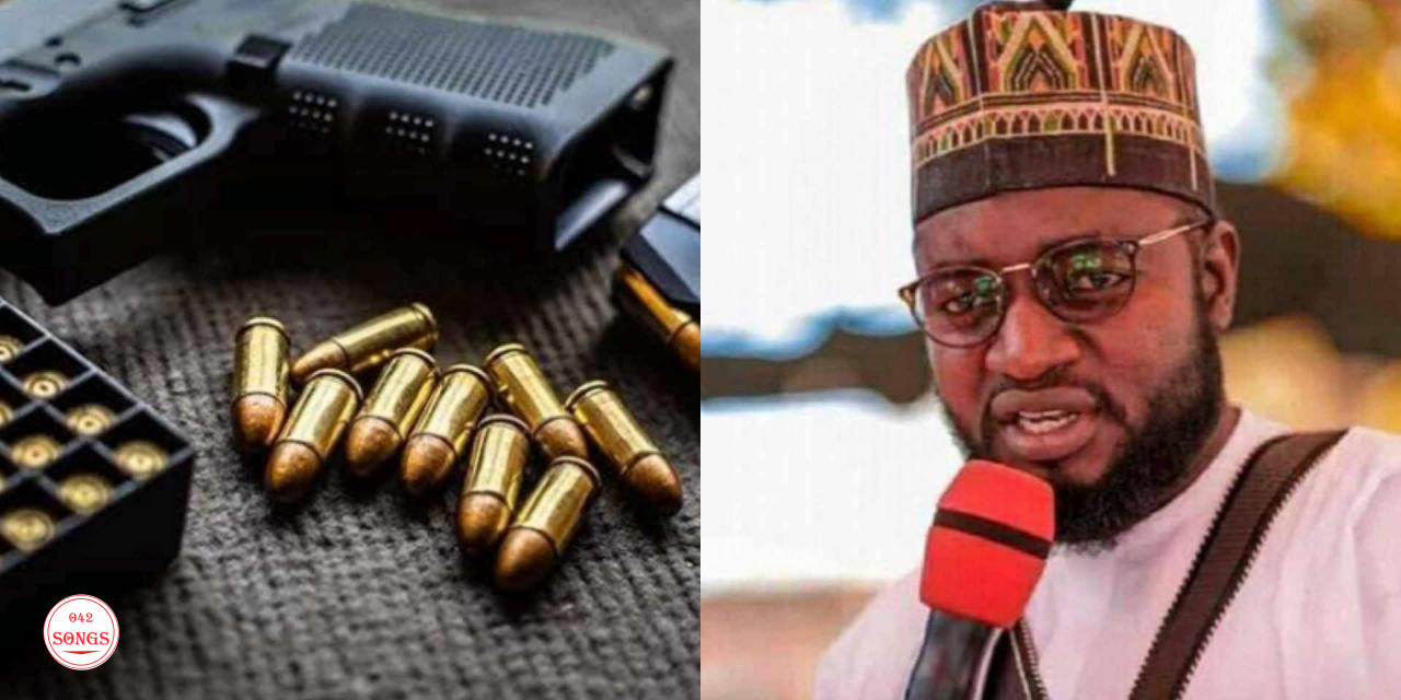“Killings would end in Nigeria if arms-bearing is legalized” – House of Reps member