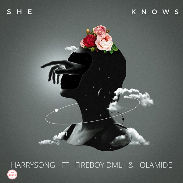 Harrysong Ft. Olamide & Fireboy DML – She Knows