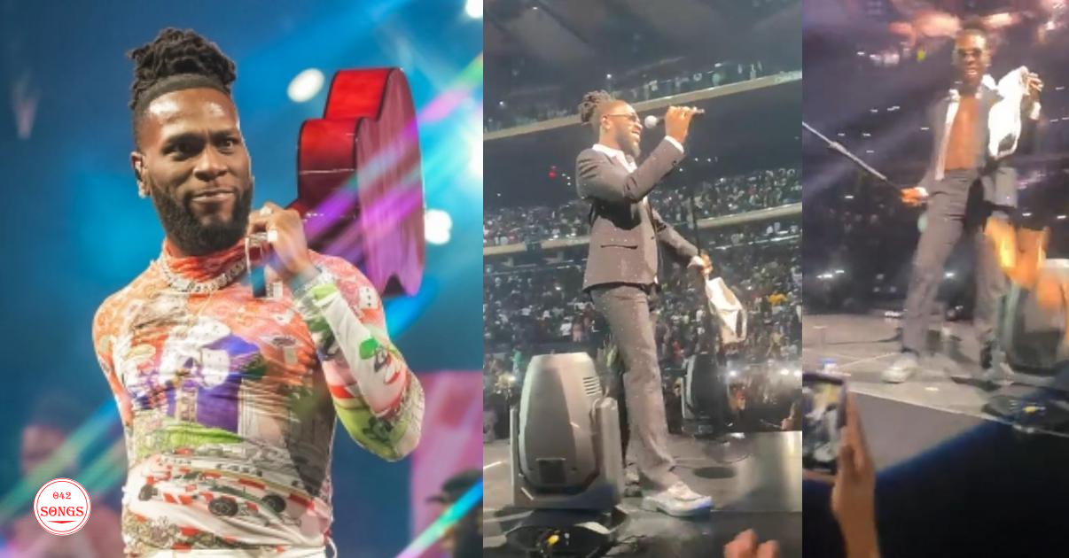 Female fan elated as Burna Boy catches her underwear during concert