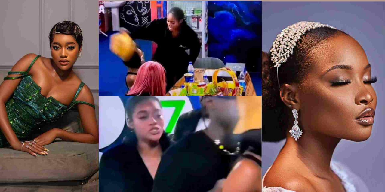 #BBNaija: Beauty confronts Ilebaye after Saturday night party, yanks off her wig (Video)